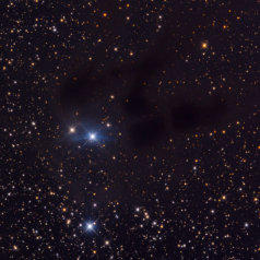 VDB31 VDB31 Barnard 26, 27, 28 in Auriga 04h55+30.32 Intes Mk69@900mm St10XME 335minL Televue NP101/SXV-H9 RGB a'111min total 11,1h Gahberg 20081228/122