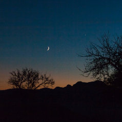 Mond und Venus am Abendhimmel 01.11.2008
