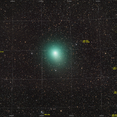 20181229 P Wirtanen 46P-ID Komet P/Wirtanen (46P) in Auriga, Esprit 80-400, Canon EOS6D ISO 1600 59x120sec, Gahberg 20181226 20h23 MEZ